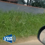 [VÍDEO] Terreno baldio e repleto de mato alto gera apreensão aos vizinhos em bairro de Penha