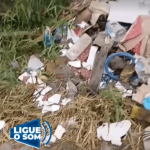 Terreno baldio vira montanha de mato, entulho e lixo em Penha