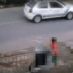 [VÍDEO] Carro atropela cãozinho e motorista deixa local sem prestar socorro em Penha; moradores pedem lombadas ao longo da via