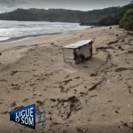 [VÍDEO] Doação? Geladeira jogada há semanas na areia de praia chama a atenção em Penha