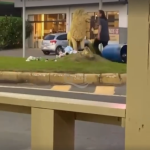 [VÍDEO] Mulher em surto é vista novamente atacando estátua de leão instalada entre Penha e Balneário Piçarras