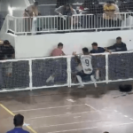[VÍDEO] Briga em ginásio, vizinho que joga cocô de cachorro em rua, alunos “esquecidos” que ficaram sem ônibus, ocorrências de trânsito e mais: confira um resumão de Penha e região nas últimas horas